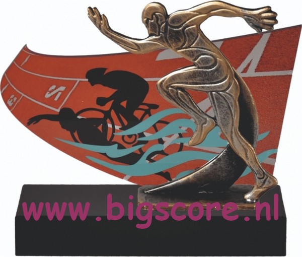 Triathlon Metaalbeeld TRK786TR